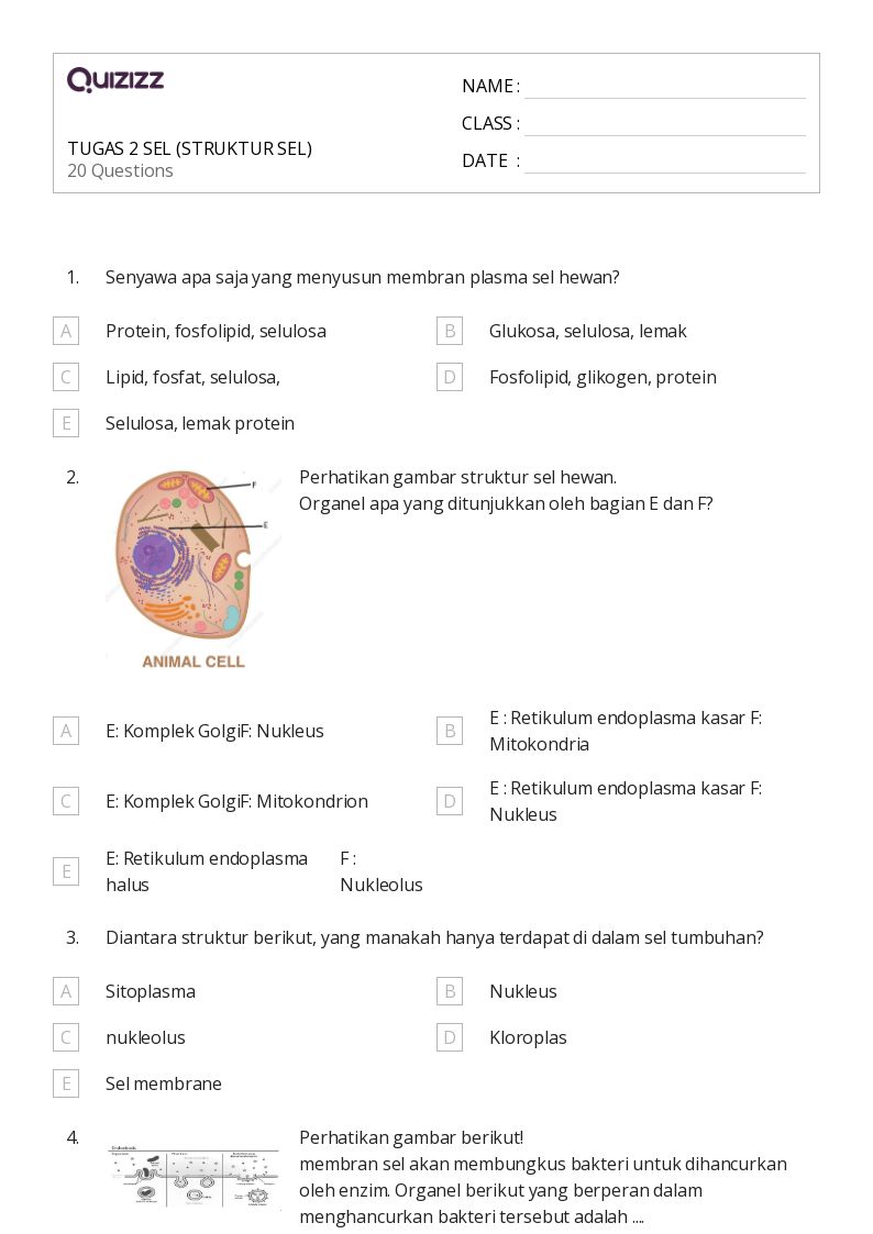 50 lembar kerja pembelahan sel untuk Kelas 11 di Quizizz Gratis